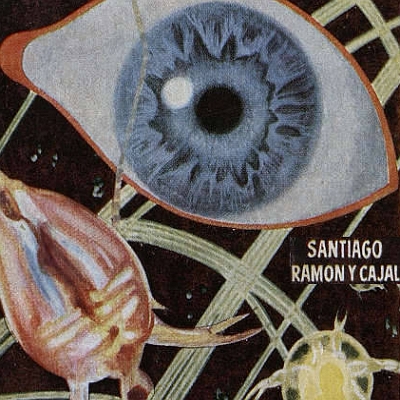 Medicina interna i patologia