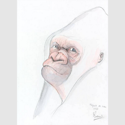 Dr. Sabater Pi - Naturalista