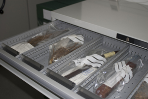 Col·lecció d'etnobotànica