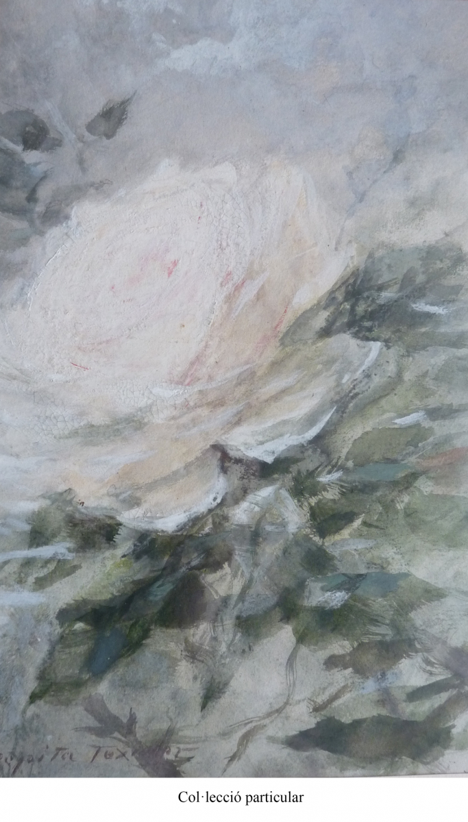 il·lustració floral