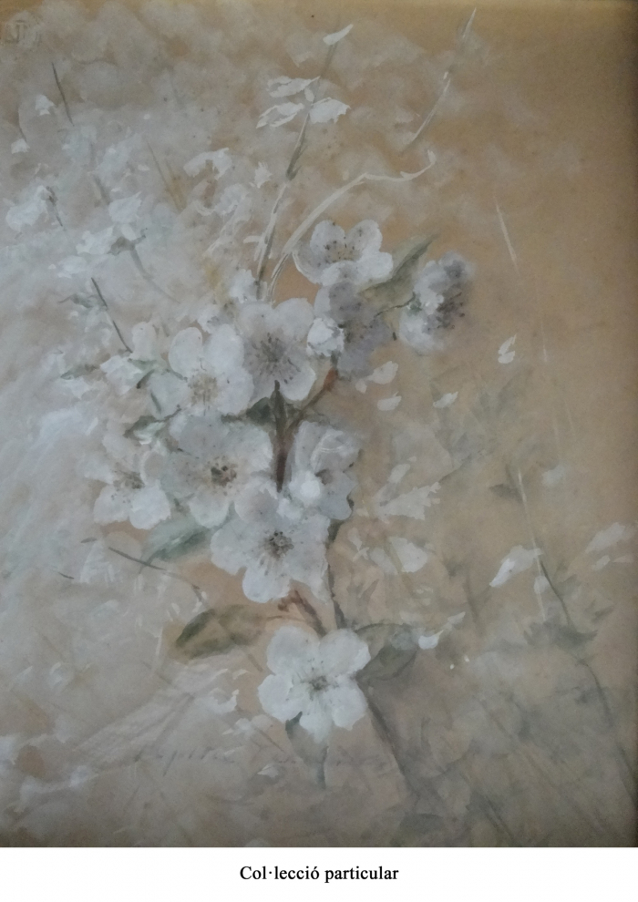 il·lustració floral