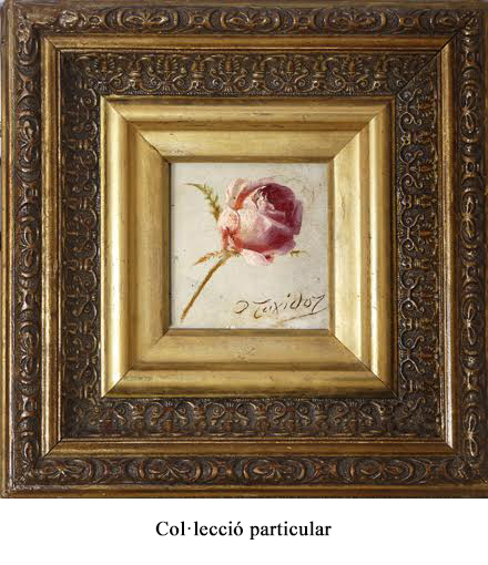 il·lustració floral