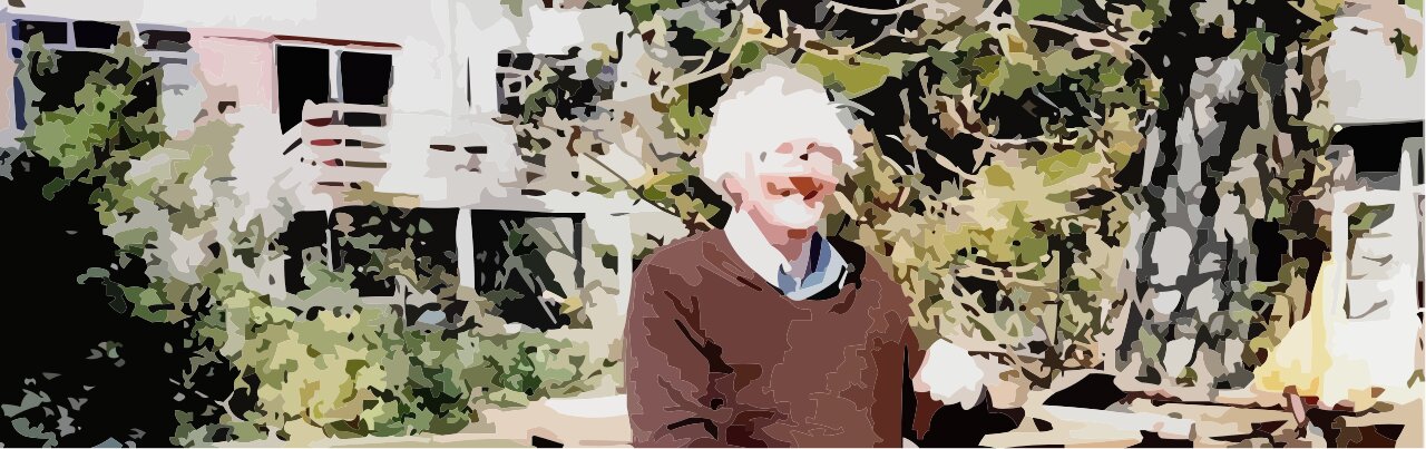 6. Tom Sharpe. Obra I