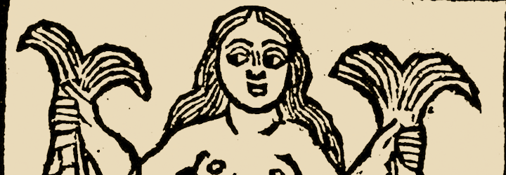 Capçalera Descripción del libro: Il libro delle sorti o Libro della ventura