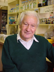 Antoni Prevosti Pelegrín