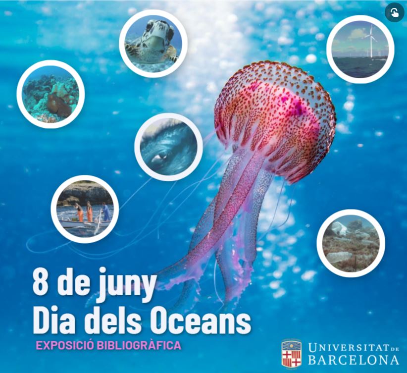 Exposició virtual interactiva Dia dels Oceans
