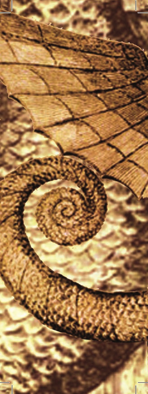 Punt de llibre Sant Jordi 2015