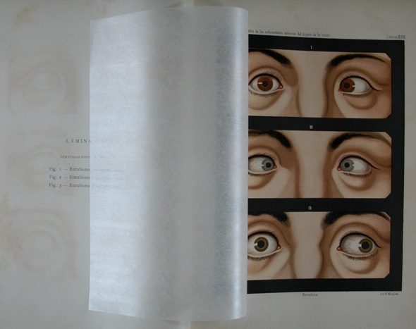 Gelpí i Jofre J. Tratado iconográfico de las enfermedades ...