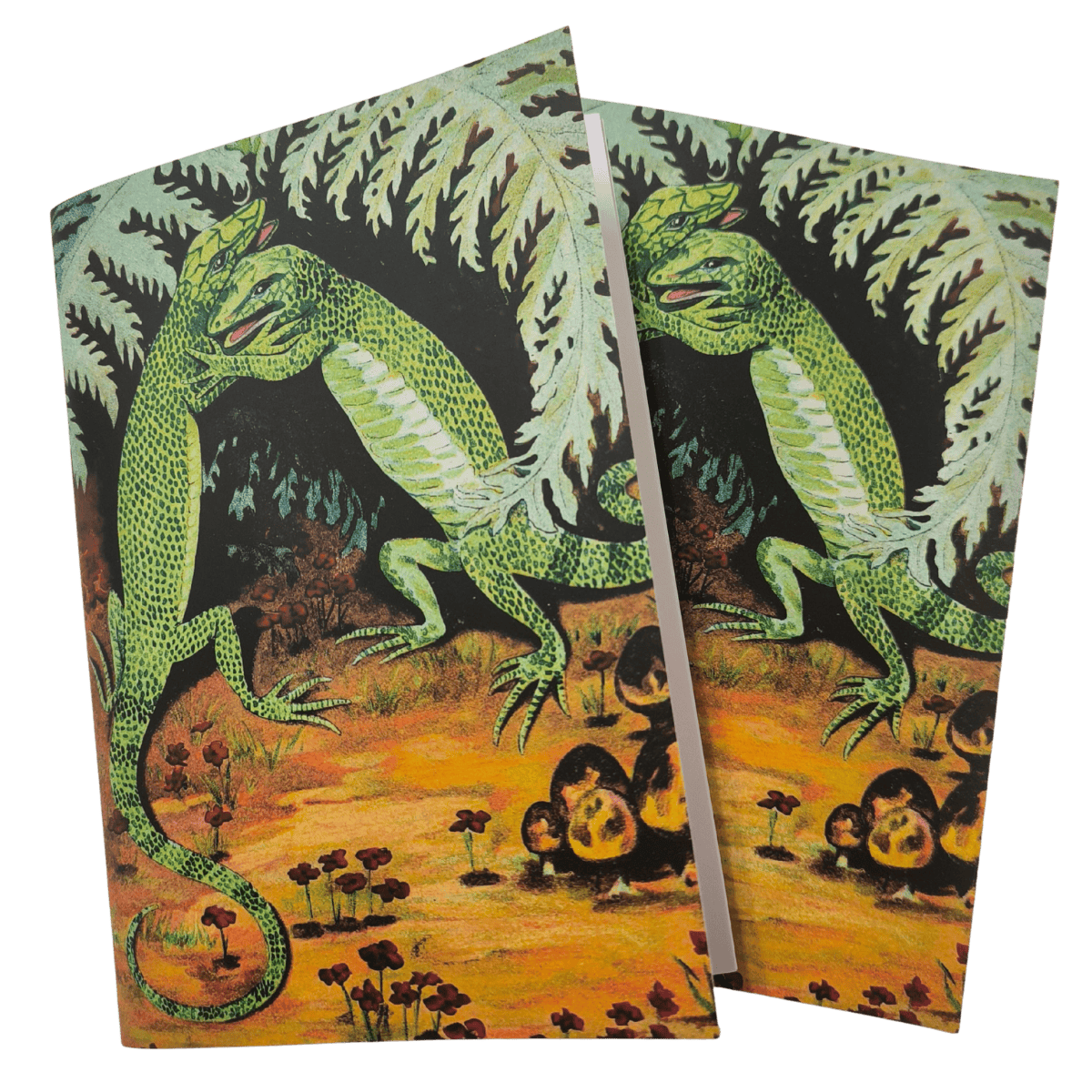 Llibreta Llangardaixos