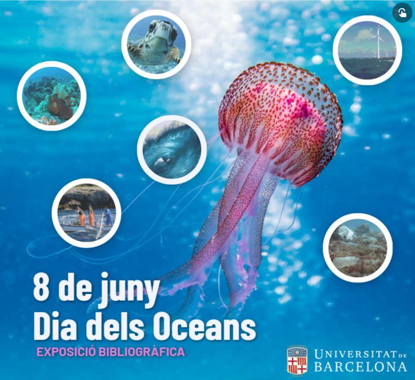 Exposició virtual interactiva Dia dels Oceans