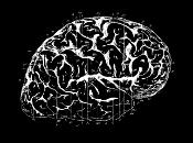 Imatge d'un cervell