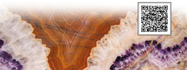 Roll up per al CRAI BIblioteca de Ciències de la Terra