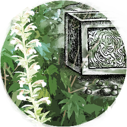 Paradisini: marques tipogràfiques al jardí. Exposició al CRAI Biblioteca de Reserva