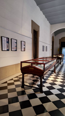 El CRAI Biblioteca del Campus Clínic inaugura l’exposició Il·lustració mèdica: Art i representació gràfica