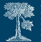 El CRAI Biblioteca de Reserva al Workshop del Consortium of European Research Libraries a Viena