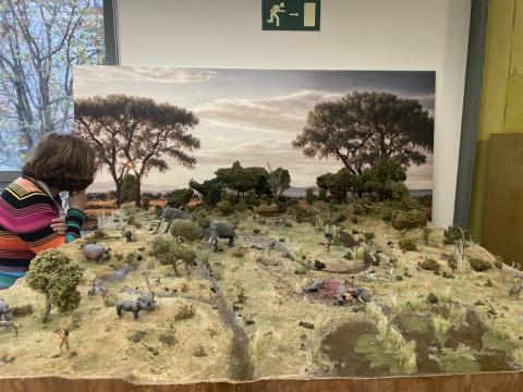 “Història en miniatura”, nova exposició al CRAI Biblioteca de Filosofia, Geografia i Història