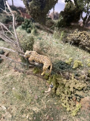 “Història en miniatura”, nova exposició al CRAI Biblioteca de Filosofia, Geografia i Història