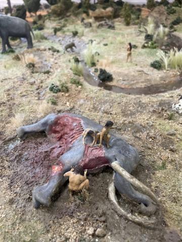 “Història en miniatura”, nova exposició al CRAI Biblioteca de Filosofia, Geografia i Història