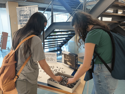 Trencaclosques col·laboratius al CRAI Biblioteca del Campus Bellvitge