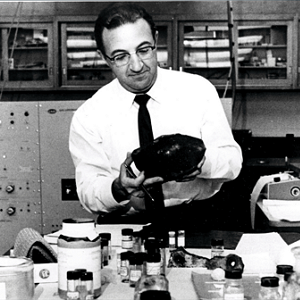 Joan Oró, el científic de la vida. Nova exposició al CRAI Biblioteca de Biologia.