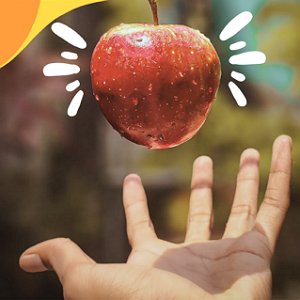 El CRAI Biblioteca del Campus Bellvitge i Mercabarna proporcionen fruita a la Comunitat UB en el marc de l'Estona Saludable al CRAI 2024 i el Dia Mundial de la Nutrició