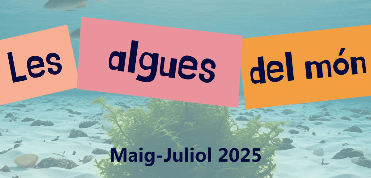 Mostra bibliogràfica "Les algues del món" al CRAI Biblioteca de Farmàcia i Ciències de l’Alimentació