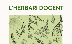 L’herbari docent, protagonista de la nova exposició del CRAI Biblioteca de Biologia