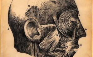 Nova col·lecció temàtica indorporada al CRAI Biblioteca del Campus Clínic