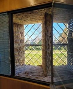 Publicada la Memòria 2020-2021 del CRAI Biblioteca del Pavelló de la República