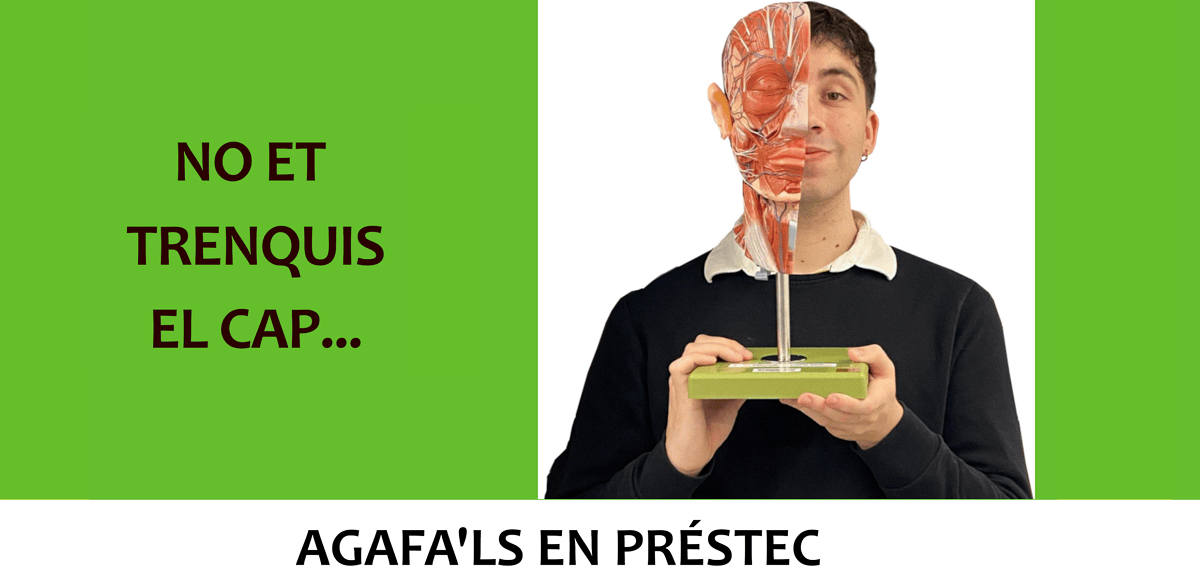 El CRAI Biblioteca de Farmàcia i Ciències de l’Alimentació incorpora dos models anatòmics