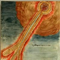 Nova col·lecció temàtica al CRAI Biblioteca de Reserva: "Fons bibliogràfic de la Guerra de Successió (1702-1714)"