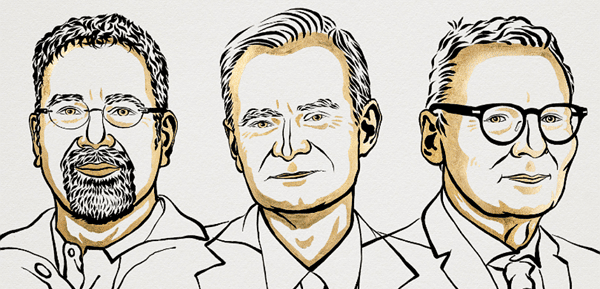 El CRAI Biblioteca d'Economia i Empresa ofereix la bibliografia dels guardonats amb el Premi Nobel d'Economia 2024